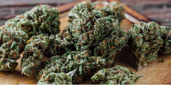 THCA in Florida: What You Need to Know Before You Buy